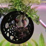 https://img.kwcdn.com/product/open/00ccca5dee454d2890f4ed1756bb52d7-goods.jpeg