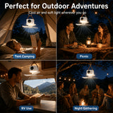 https://img.kwcdn.com/product/fancy/01a6e3a0-d2c9-459b-9fbd-218c08eb4ad9.jpg