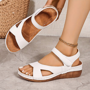 https://img.kwcdn.com/product/fancy/04b6f22a-4f4d-49ed-a9cf-bf5ba25e0813.jpg