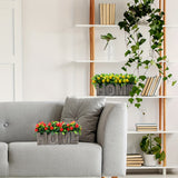 https://img.kwcdn.com/product/fancy/075ad4d1-7f6b-47cf-bf3c-d756894b762b.jpg