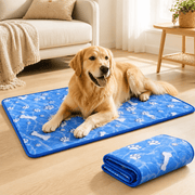 https://img.kwcdn.com/product/open/07803869d9504ff8ae38804fae27d4e5-goods.jpeg