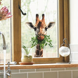 https://img.kwcdn.com/product/fancy/0b2aeb4c-5bf2-41eb-850d-57ff90ea8003.jpg