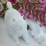 https://img.kwcdn.com/product/fancy/0b79969f-d793-4920-ba4e-ae6ba0abf2ef.jpg