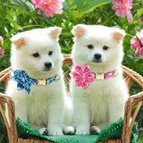 https://img.kwcdn.com/product/fancy/0f0e2557-2cdd-447c-a464-61b23a767912.jpg
