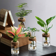 https://img.kwcdn.com/product/open/11732d070d684a95b0cf286bb9ac6ff9-goods.jpeg