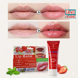Lip Balm