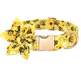 https://img.kwcdn.com/product/fancy/12f4aee0-e9bf-4622-83c1-76e5fa0164af.jpg