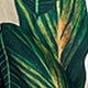 https://img.ltwebstatic.com/images3_pi/2023/01/09/1673243893c78ecbf7510b76ee9d49f6568de910ed.jpg
