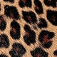 https://img.ltwebstatic.com/images3_pi/2023/02/28/1677550116bf9c422f93c1e7b1f071735b335b2c98.jpg