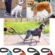 //img.ltwebstatic.com/images3_pi/2023/04/18/1681810969d49f4f25b996c9f5e08b28ad158918d9_thumbnail_900x.webp