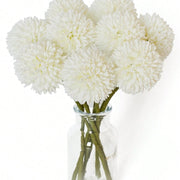 //img.ltwebstatic.com/images3_spmp/2023/12/05/58/17017632872feabef7a459950e3204020041f8fedb_thumbnail_900x.webp