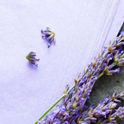 //img.ltwebstatic.com/images3_spmp/2024/03/13/67/17103438754e716d9096859e9e33384bb35de479c5_thumbnail_900x.webp