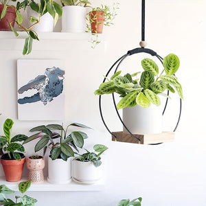 https://img.kwcdn.com/product/open/2024-04-21/1713666024350-96932fa7cfaf4d7ab314cff9c8a23319-goods.jpeg