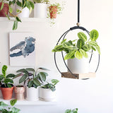 https://img.kwcdn.com/product/open/2024-04-21/1713666024350-96932fa7cfaf4d7ab314cff9c8a23319-goods.jpeg