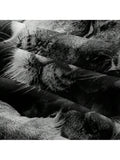 //img.ltwebstatic.com/images3_spmp/2024/05/27/a9/1716794896717e20d7378296341c52d9d1512a458c_square_thumbnail_900x.webp