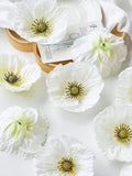 //img.ltwebstatic.com/images3_spmp/2024/07/16/6d/172112558271f1e9a5665e00b6a138b851a0b1e9c7_thumbnail_900x.webp