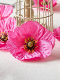 //img.ltwebstatic.com/images3_spmp/2024/07/16/28/17211255935713ce72447a441a23bb0c211556ae84_thumbnail_900x.webp