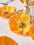 //img.ltwebstatic.com/images3_spmp/2024/07/16/5b/17211255983ddce47f5490d1a51f21d5389af1e5ab_thumbnail_900x.webp