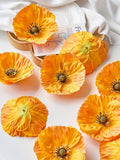 //img.ltwebstatic.com/images3_spmp/2024/07/16/5b/17211255989aa996a50cf4df4433ffa206e4174bf6_thumbnail_900x.webp