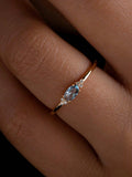 //img.ltwebstatic.com/images3_spmp/2024/08/04/99/1722739305c2d18f63dbbbe67c9f680a2a17cf0ee9_thumbnail_900x.webp