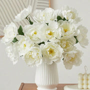 //img.ltwebstatic.com/images3_spmp/2024/09/22/dd/1726992608099e1178b1841613b144fede57f29329_thumbnail_900x.webp