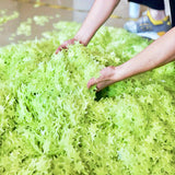 https://img.kwcdn.com/product/open/2024-10-10/1728568213404-50a9ab0f7f8d4ac9b02f7394cb1141bc-goods.jpeg