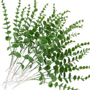 //img.ltwebstatic.com/images3_spmp/2024/10/30/5a/1730283131b3279cfbf44058000fa36fb515e7ae6c_thumbnail_900x.webp