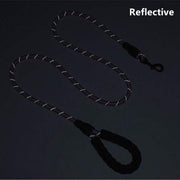 //img.ltwebstatic.com/images3_spmp/2024/11/03/4b/1730576365729c8eb75ebad8b01343bbe2306f74eb_square_thumbnail_900x.webp