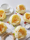 //img.ltwebstatic.com/images3_spmp/2024/11/06/26/17308776195255281e97032bb83014c9819804978d_thumbnail_900x.webp