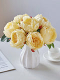 //img.ltwebstatic.com/images3_spmp/2024/11/06/26/1730877619e2e815a00668c0662e8b9bf4af9483d3_thumbnail_900x.webp