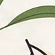 https://img.ltwebstatic.com/images3_pi/2025/01/07/cc/17362269415822623327891877bf0543d221d7a648.jpg