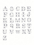https://img.ltwebstatic.com/images3_spmp/2025/02/12/92/17393571566ed40c0cacfd0bc938485515ab8337f5.jpg