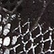https://img.ltwebstatic.com/images3_spmp/2025/02/24/22/1740379095238174a378a7e35754d6e7f2240f3f85.jpg