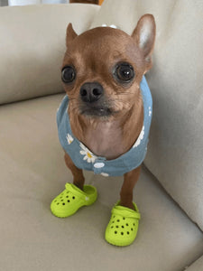 https://img.ltwebstatic.com/images3_spmp/2025/03/03/38/1740969752c7596521d33fe2d1a73480f9a5f7e77c.jpg