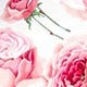 https://img.ltwebstatic.com/images3_spmp/2025/03/13/43/174184863150fd05fbd8c0173ab8510d92d4d1f245.jpg