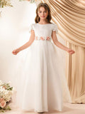//img.ltwebstatic.com/images3_pi/2025/03/14/25/174193239303b3240c5b2f4f78eb164505793d2990_thumbnail_900x.webp
