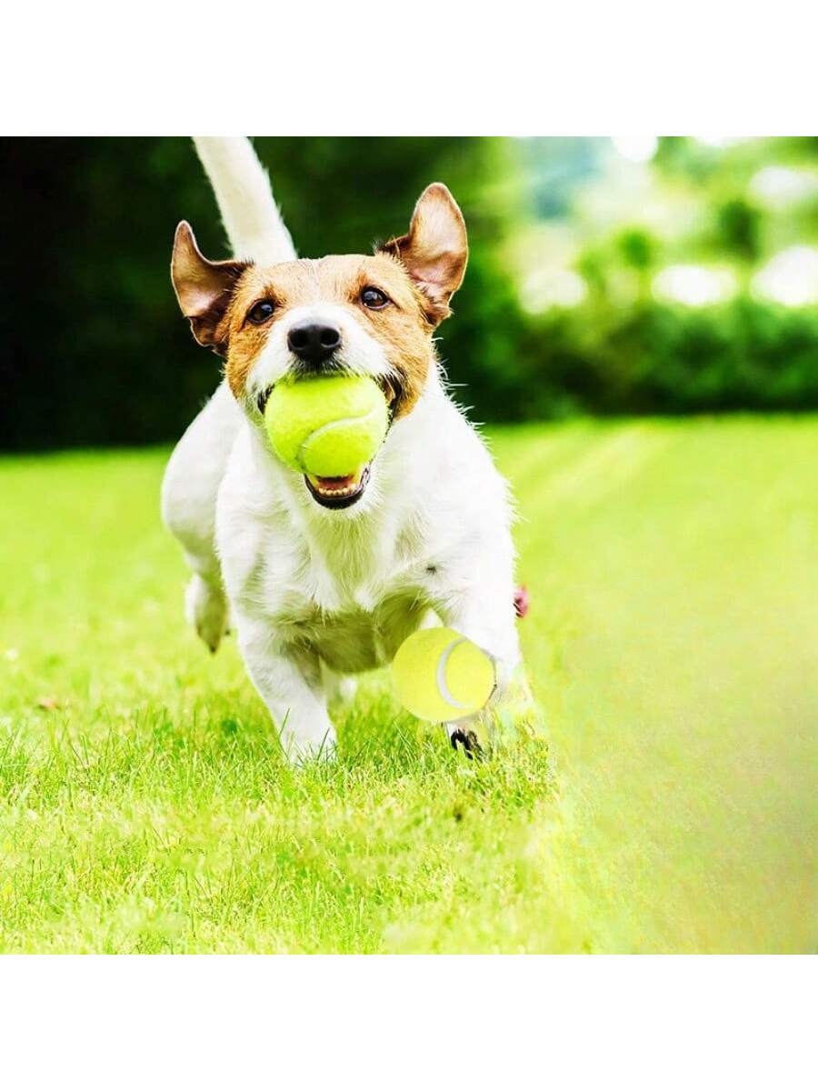 https://img.ltwebstatic.com/v4/j/spmp/2025/04/03/df/1743658373e8993a72b0af4ebf240c437323d11462_square.jpg