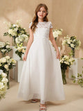 //img.ltwebstatic.com/images3_pi/2025/04/08/97/17440950291b197d5ef6b042159fac3a2e8fb8683c_thumbnail_900x.webp