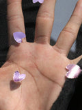 //img.ltwebstatic.com/v4/j/pi/2025/04/14/0d/17446235375948fe0266fe8d79d83bbbb2dcbeb358_thumbnail_900x.webp