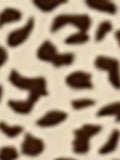 //img.ltwebstatic.com/v4/j/spmp/2025/05/06/0b/17465055579f601a75d051be1947111036facfc6ac_thumbnail_900x.webp