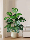 //img.ltwebstatic.com/v4/j/spmp/2025/05/13/12/1747118539dcdd10c38aeaea64b0900e459755e44d_thumbnail_900x.webp