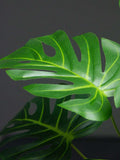 //img.ltwebstatic.com/v4/j/spmp/2025/05/13/b0/17471185401c7595818d8d8dba1ed7caeb0cee9b5a_thumbnail_900x.webp