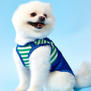//img.ltwebstatic.com/v4/j/pi/2025/05/19/24/1747621372e2be4f6122309f86c6f16fbd4e351014_thumbnail_900x.webp