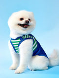 //img.ltwebstatic.com/v4/j/pi/2025/05/19/24/1747621372e2be4f6122309f86c6f16fbd4e351014_thumbnail_900x.webp