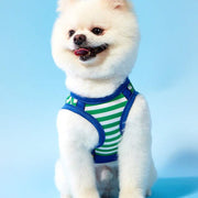 //img.ltwebstatic.com/v4/j/pi/2025/05/19/85/17476213756dfb6ef59c771ca5e1d02e0eb0d03a98_thumbnail_900x.webp