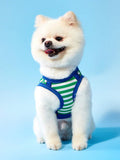 //img.ltwebstatic.com/v4/j/pi/2025/05/19/85/17476213756dfb6ef59c771ca5e1d02e0eb0d03a98_thumbnail_900x.webp
