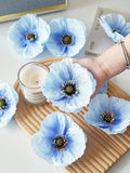 //img.ltwebstatic.com/v4/j/spmp/2025/06/05/d5/17491113376676803e72ea96a5fbbc83bc76920a99_thumbnail_900x.webp