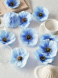 //img.ltwebstatic.com/v4/j/spmp/2025/06/05/44/174911133782a299dc8ee94808ec1158e9926c8e5c_thumbnail_900x.webp