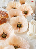 //img.ltwebstatic.com/v4/j/spmp/2025/06/05/1b/1749111347ad49bc6a4ff86a785ac9df9e26087a7d_thumbnail_900x.webp