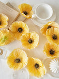 //img.ltwebstatic.com/v4/j/spmp/2025/06/05/98/17491113568cf73339231197c01d3ce92bd984be1f_thumbnail_900x.webp